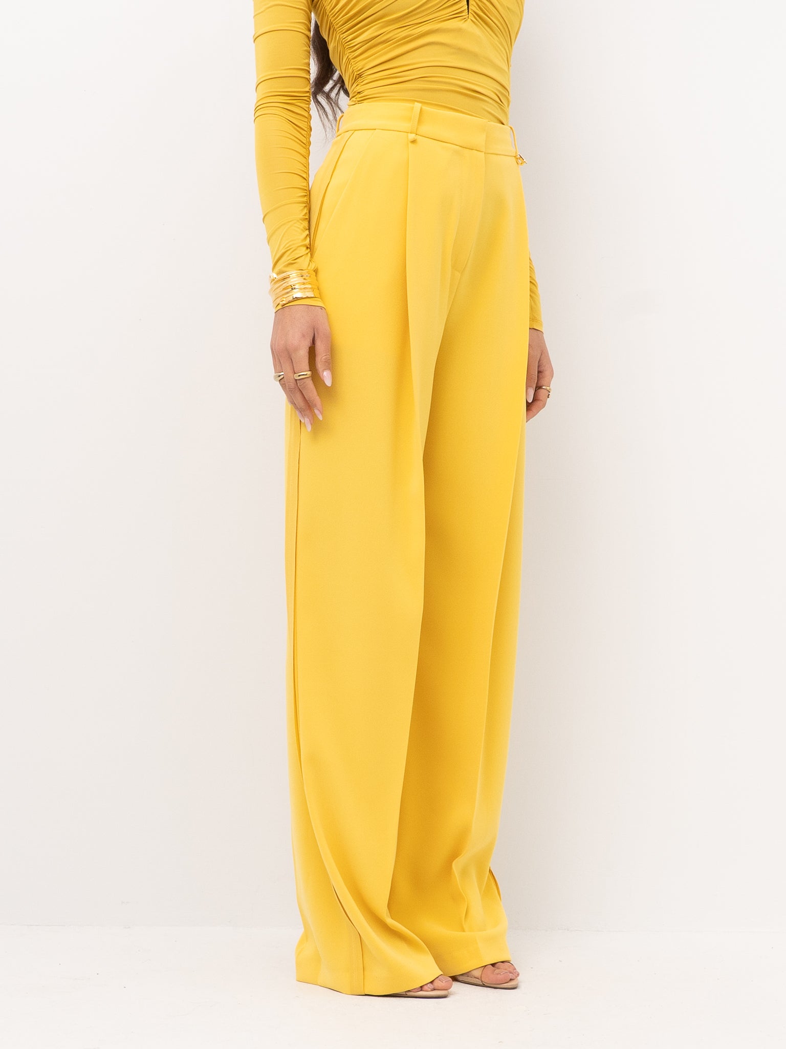 ELISABETTA FRANCHI PA16761E2 TROUSERS