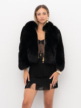 PELLICCIA YES LONDON LC5007