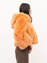 PELLICCIA YES LONDON LC/2066-1