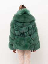 PELLICCIA SAGAFURS SG5014