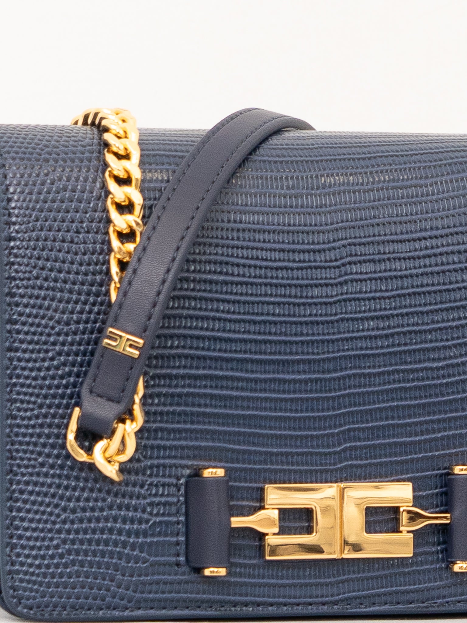 BORSA ELISABETTA FRANCHI BS09A66E2