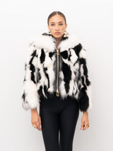 PELLICCIA YES LONDON LC50012