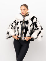 PELLICCIA YES LONDON LC50012