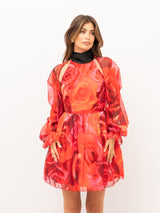 COPRISPALLE SHIT SH26000