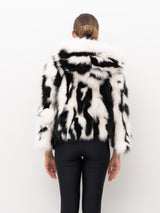 PELLICCIA YES LONDON LC50012