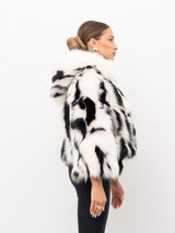 PELLICCIA YES LONDON LC50012
