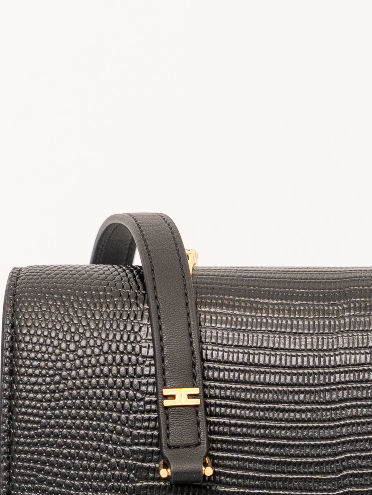 BORSA ELISABETTA FRANCHI BS09A66E2