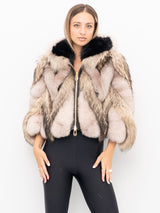 PELLICCIA YES LONDON LC5001