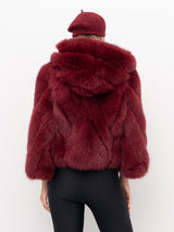 PELLICCIA YES LONDON LC5004