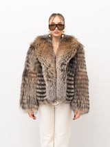 PELLICCIA SAGAFURS SG5018