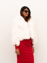 PELLICCIA YES LONDON LC/2066-11