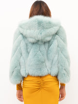 PELLICCIA YES LONDON LC/2066-16