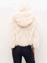 PELLICCIA YES LONDON LC5005