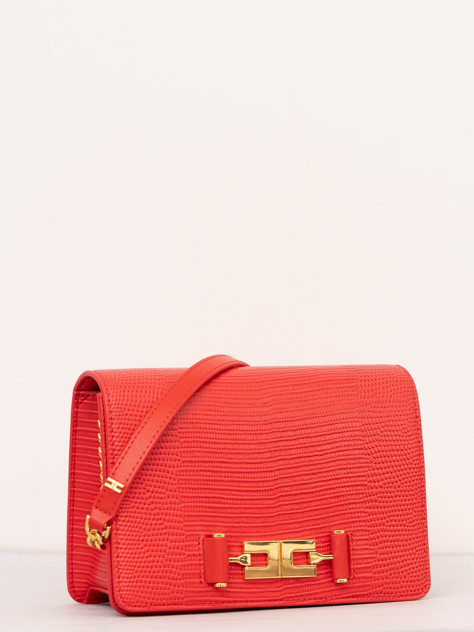 BORSA ELISABETTA FRANCHI BS09A66E2